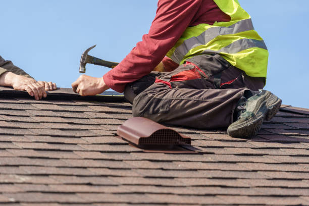 Best Shingle Roofing Installation  in Lake Belvedere Estates, FL