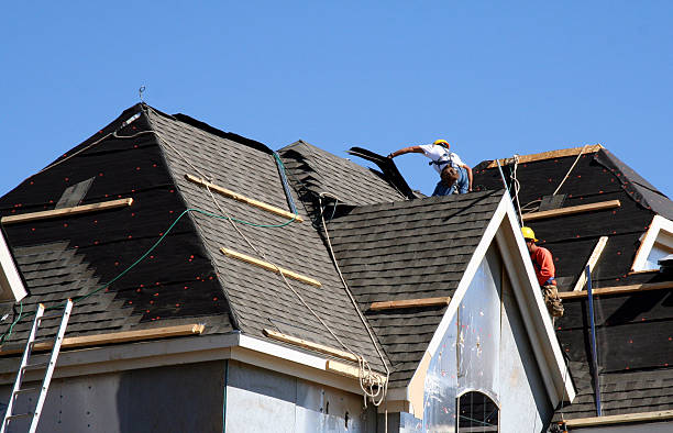 Best Storm Damage Roof Repair  in Lake Belvedere Estates, FL